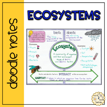 Preview of Ecosystem Doodle Notes
