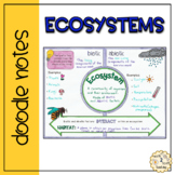 Ecosystem Doodle Notes