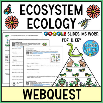 Preview of Ecosystem Ecology Webquest
