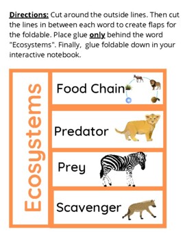 Ecosystem Foldable by FourthGradeFever Dual Language | TPT