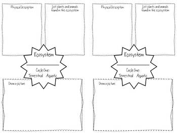 Preview of Ecosystem Graphic Organizer