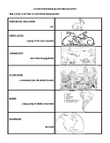 Ecosystem Hierarchy Pictorial Study Guide