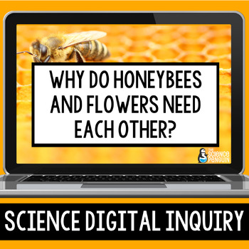 Preview of Ecosystem Interactions Digital Inquiry Resource | Bees, Flowers, Pollination
