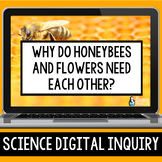 Ecosystem Interactions Digital Inquiry Resource | Bees, Fl