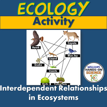 Preview of Ecosystem Interactions Food Web Activity Worksheets Assessment NGSS MS-LS2-1