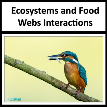 Preview of Ecosystem Interactions, Food Webs and Food Chains Worksheets and Flow of Energy