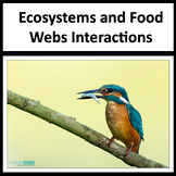 Ecosystem Interactions, Food Webs and Food Chains Workshee