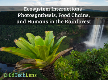 Preview of Food Chains, Energy, & Habitat Destruction in Rainforest Ecosystems – Unit eBook