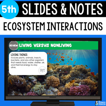 Preview of Ecosystem Interactions Slides & Notes Worksheet | 5th Grade | Powerpoint
