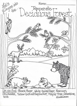 Ecosystem Interactive Coloring Pages By Noodlzart Teachers