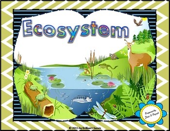 Preview of Ecosystem Unit with Worksheets : | Printable and Digital Distance Learning