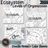 Ecosystem | Levels of Organization - Color Sheets & Doodle Notes