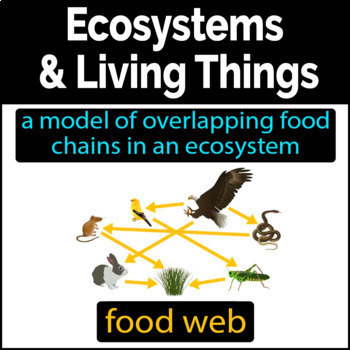 Online Flashcards - Ecosystem & Living Things - Food Chain, Food Web ...