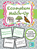 Ecosystem Matching Activity Game
