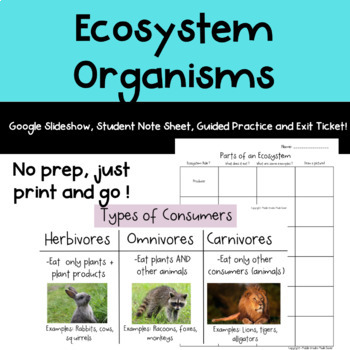 Preview of Ecosystem Organisms- Producers, Consumers, Decomposers, and More!