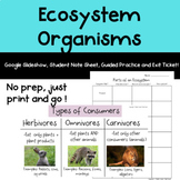Ecosystem Organisms- Producers, Consumers, Decomposers, and More!