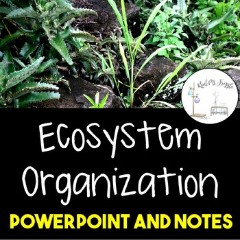 Preview of Ecosystem Organization