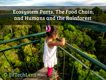 Preview of Energy in Ecosystems, Food Chains, & Humans in the Rainforest Habitat Unit ePUB