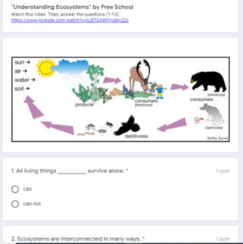 Preview of Ecosystem Parts (producers, consumers, decomposers) Google Form Video activity 