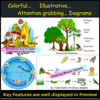 Ecosystem PowerPoint by Scholarly Biology | TPT