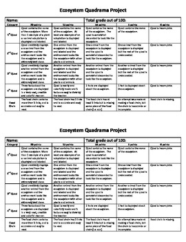 Preview of Ecosystem Quadrama Project Grading Rubric