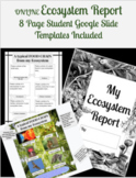 Ecosystem Report  An 8 Slide Template to Create a DIGITAL 
