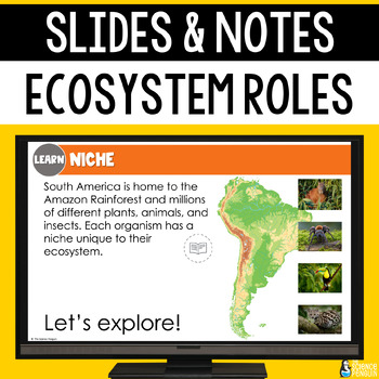 Preview of Ecosystem Roles Slides & Notes Worksheet | Producers and Consumers