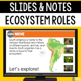 Ecosystem Roles Slides & Notes Worksheet | Producers and C