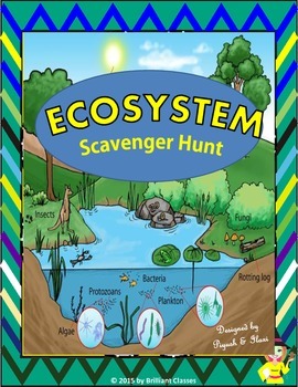 Ecosystem Scavenger Hunt by Brilliant Classes - Science - Math - ELA
