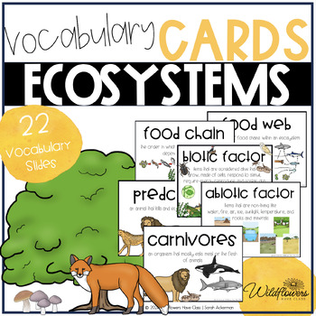 Preview of Ecosystem Science Vocabulary Cards for Visual Learners