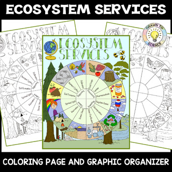 Preview of Ecosystem Services Coloring Page and Graphic Organizer