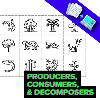 Preview of Ecosystem Sort: Producers, Consumers, and Decomposers