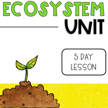 Preview of Ecosystem Enrichment Activity: Design and Build a Self-Sustaining Ecosystem