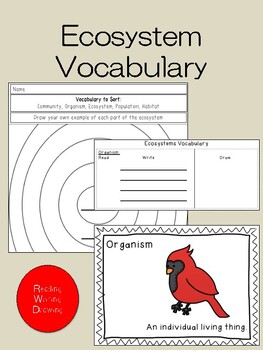Preview of Ecosystem Vocabulary