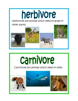 Ecosystem Vocabulary Cards by Simply Mathtastic | TPT