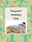 Ecosystem Vocabulary Cards with Pictures