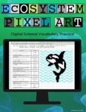 Ecosystem Vocabulary Digital Pixel Art Science Google Sheets