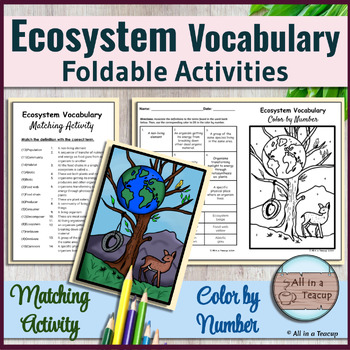 Preview of Ecosystem Vocabulary Foldable Earth Our Home Color by Number & Matching Activity