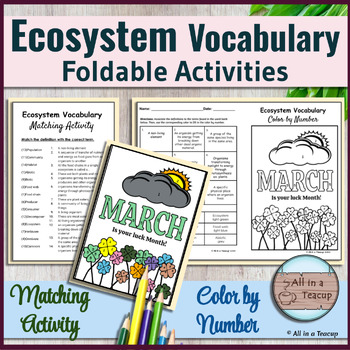 Preview of Ecosystem Vocabulary Foldable March St-Pats Color by Number & Matching Activity
