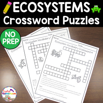 Preview of Ecosystem Vocabulary and Crossword Puzzle