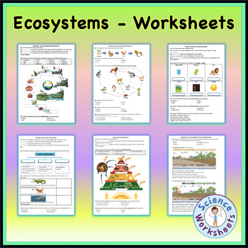 Preview of Ecosystems Unit Worksheets Bundle | Printable and Distance Learning