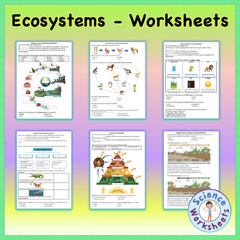 Preview of Ecosystems Unit Worksheets Bundle | Printable and Distance Learning