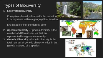 biodiversity ecosystems