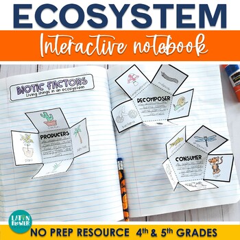 Preview of Ecosystem worksheets, Interactive Notebook activities