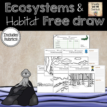 Preview of Ecosystem and Habitat Free Draw with Rubric