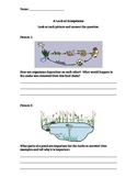 Ecosystems Worksheets Teaching Resources | Teachers Pay Teachers