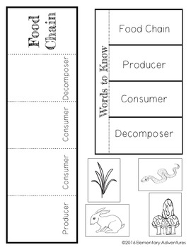 Ecosystems Lap Book by Elementary Adventures | TPT