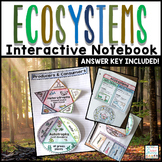 Ecosystems Interactive Notebook - Worksheets Food Chain Producers and Consumers