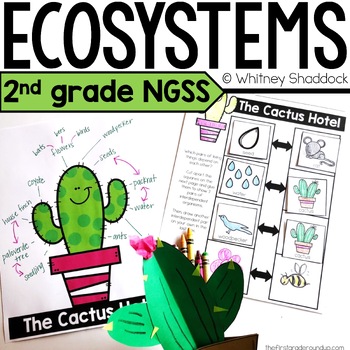 Preview of Types of Ecosystems Activity Lessons and 2nd Grade Science Unit - NGSS Aligned