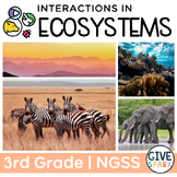 3rd Grade NGSS Science Unit: Ecosystems - Interactions, En